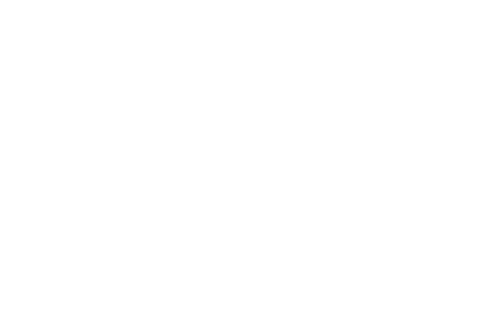 Rockroshi Starry Music Festival 2026